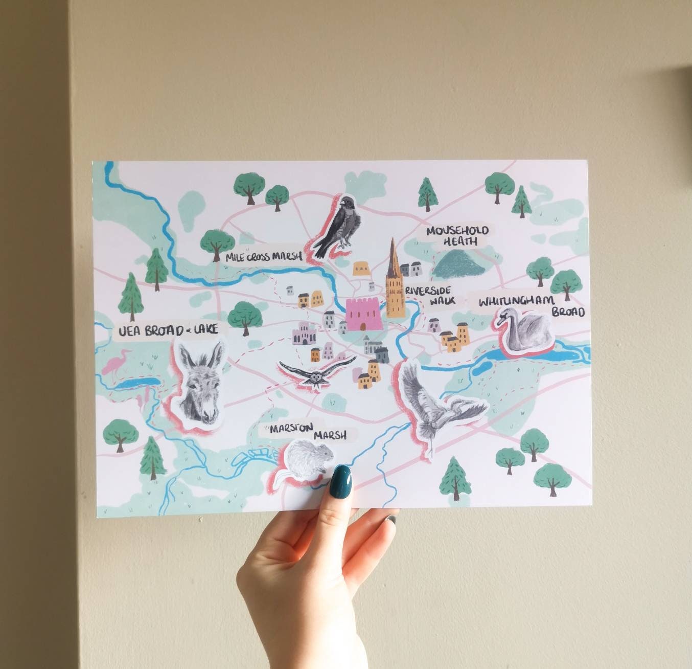 Norwich Illustrated Map (Green spaces in Norwich) - Mousehold Heath, Marston Marshes, UEA Broad, Whitlingham