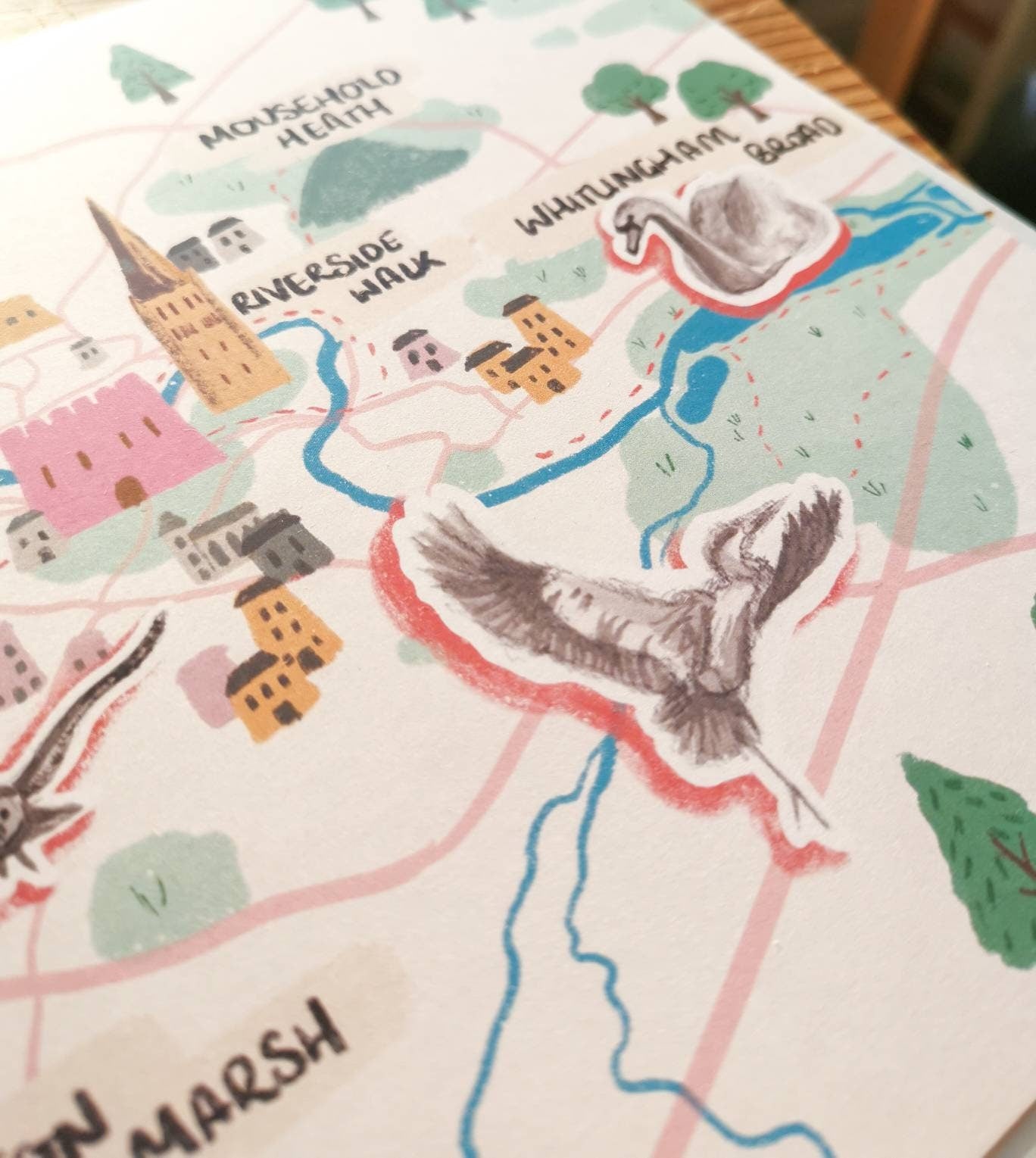 Norwich Illustrated Map (Green spaces in Norwich) - Mousehold Heath, Marston Marshes, UEA Broad, Whitlingham