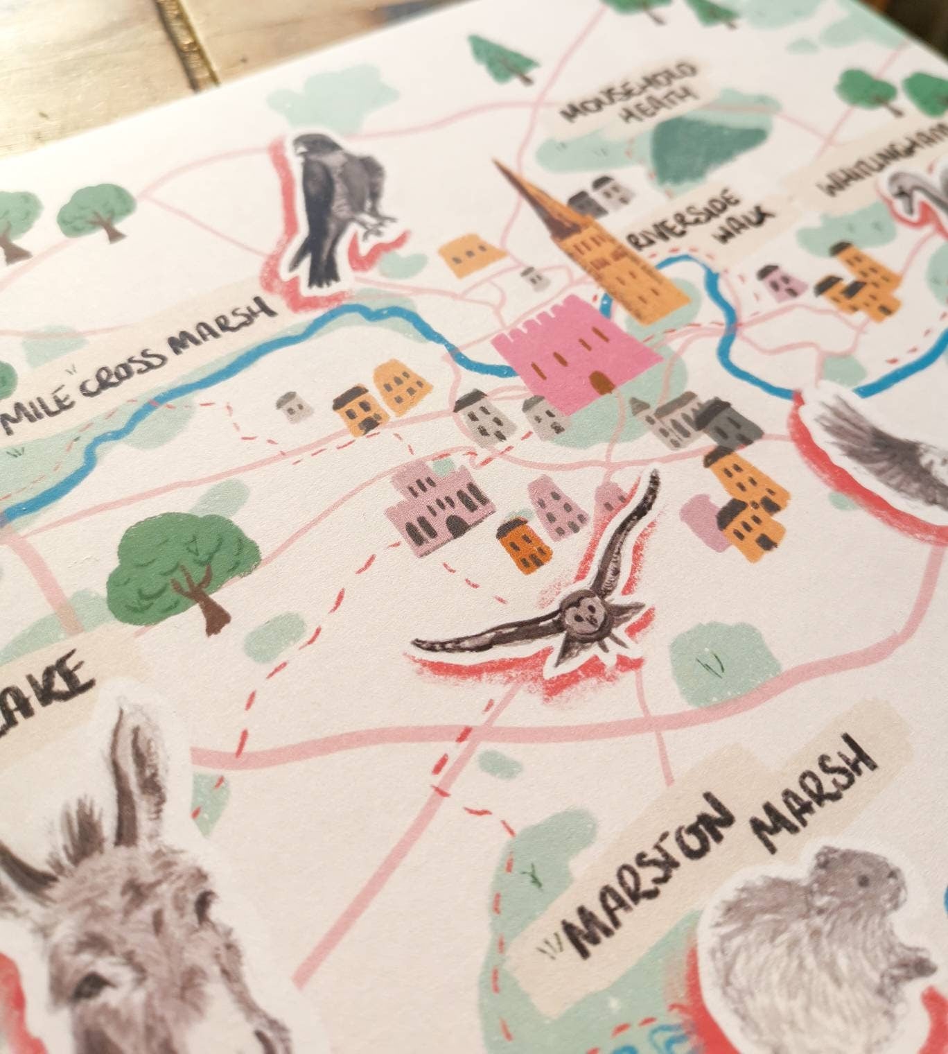 Norwich Illustrated Map (Green spaces in Norwich) - Mousehold Heath, Marston Marshes, UEA Broad, Whitlingham