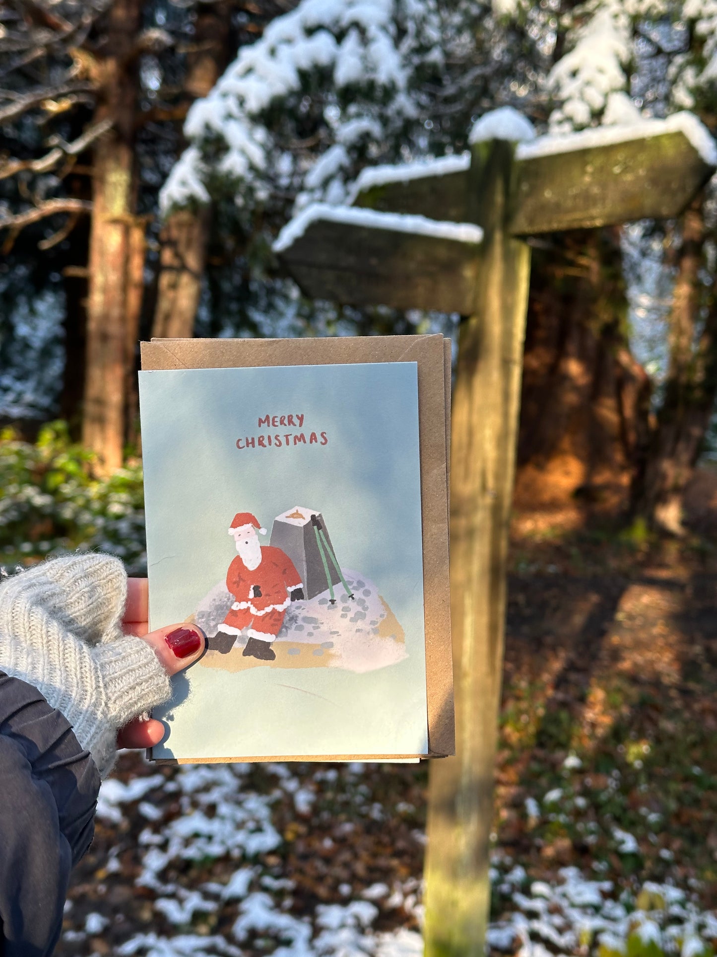 Trig Santa Christmas Card